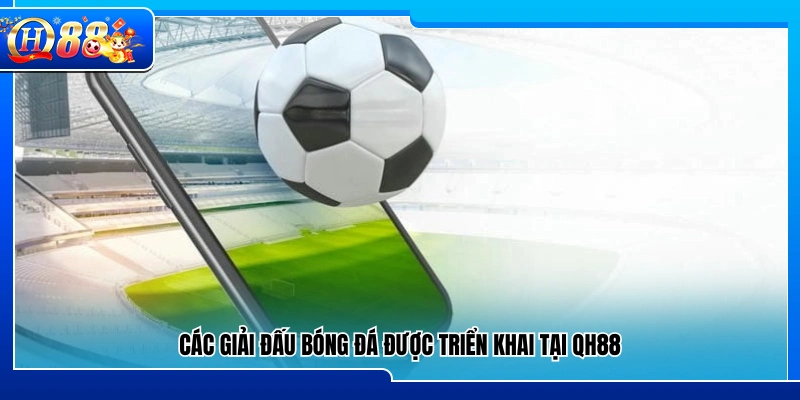 Danh sách giải bóng đá đang có tại QH88