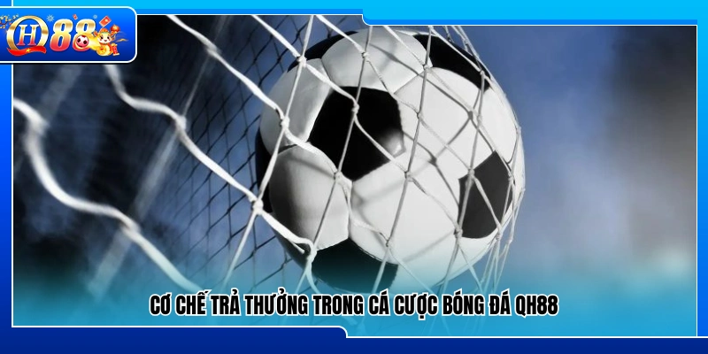 Nguyên tắc trả thưởng áp dụng cho cá cược bóng đá QH88
