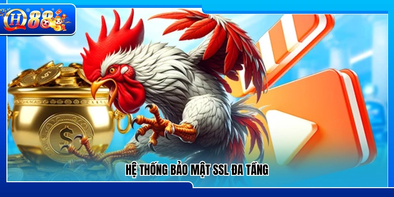 Cơ chế bảo mật SSL nhiều lớp an toàn tuyệt đối