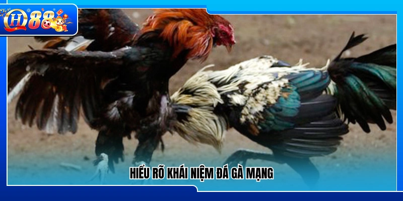 Nắm rõ khái niệm về hình thức đá gà mạng 