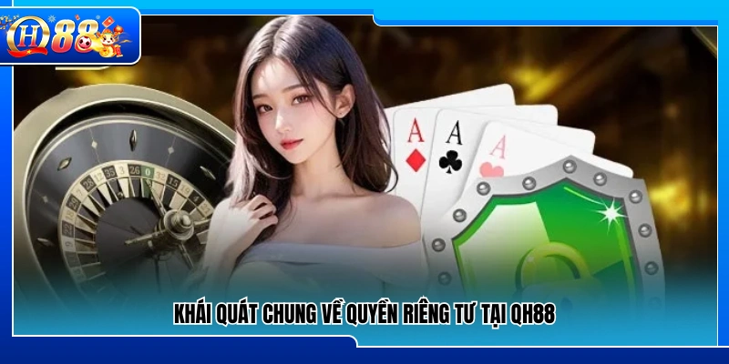 Giới thiệu chung chính sách quyền riêng tư của QH88