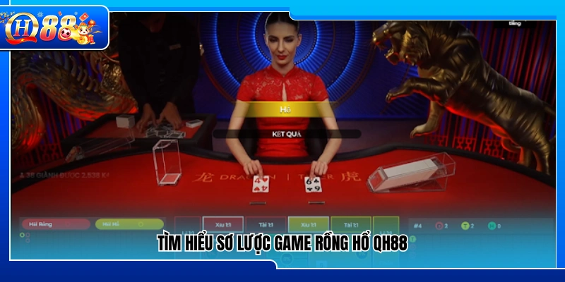 Tìm hiểu cơ bản về hình thức chơi Rồng Hổ QH88